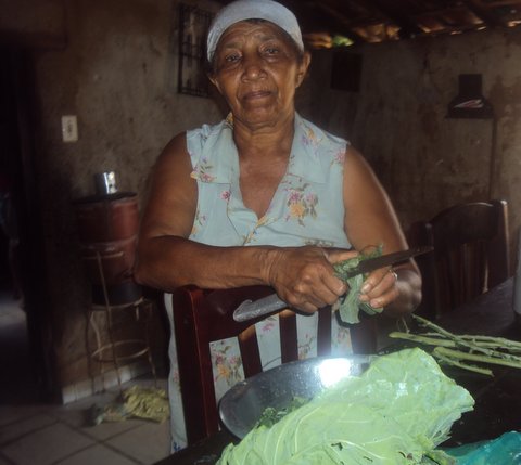 As folhas continuam sendo sagradas para dona Lídia. Foto: Liliana Peixinho.