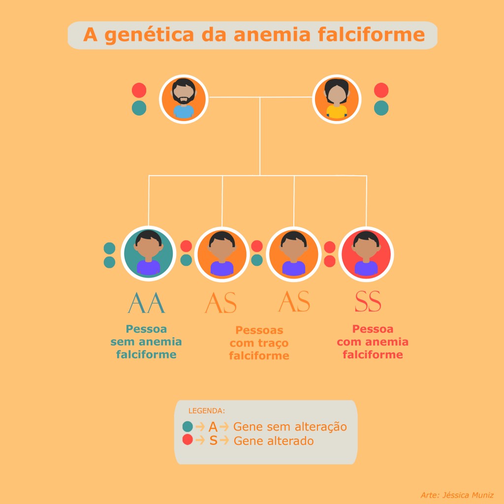 Genética da anemia falciforme